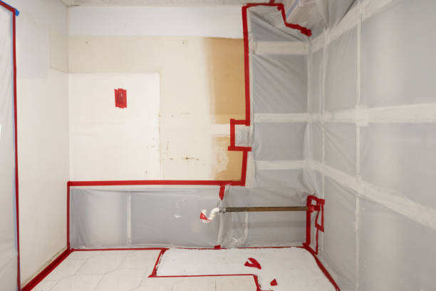 Best Crawl Space Mold Remediation  in Salem, UT